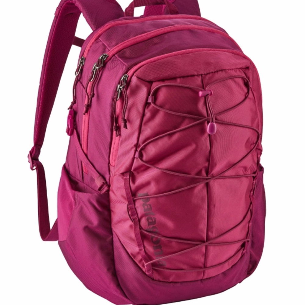 PATAGONIA Pink Backpack